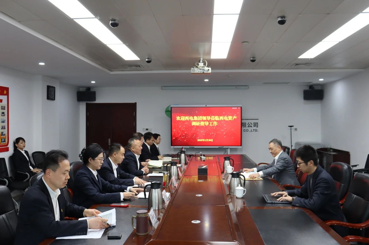 中國西電集團黨委書記、董事長、總經理韓兵到西電資產調研